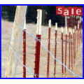 DM hot sale American standard T post for field fence